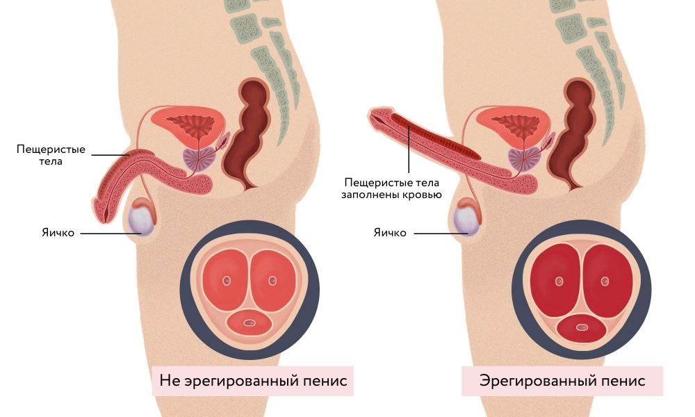 Прерванный половой акт: почему это неэффективно