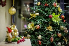 8 из 10 якутян определились, где будут проводить новогодние каникулы