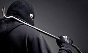 Приятели обчистили соседнюю дачу