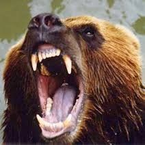 В Якутии ликвидировали медведя-людоеда