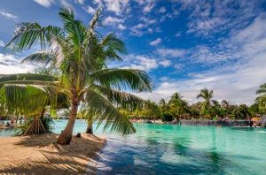 Учёный доказал, что на территории Якутии были тропические моря