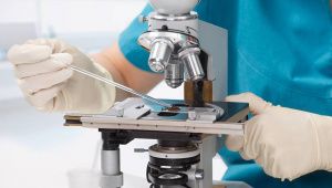 Ученый из Якутска предлагает запустить в России производство биологических термометров