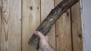 Мужчина и женщина были забиты поленом: В Якутии взят под стражу подозреваемый в жестоком двойном убийстве, совершенном более 20 лет назад