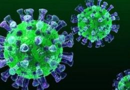 В России стартовали испытания прототипов вакцины против коронавируса