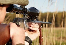 Чем грозит незаконная охота на пушных животных