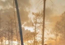 Лесной пожар у села Кылайы разросся за сутки с 300 га до 2 500 га