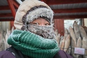 Эксперты СВФУ рассказали, как нужно питаться, чтобы выдержать самые лютые морозы