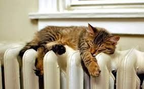 В Якутске тепло запущено в 1636 МКД