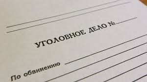 Директор ООО пытался утаить налогов на 6 миллионов рублей