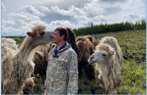 В сельскохозяйственную микроперепись в Якутии попали верблюды