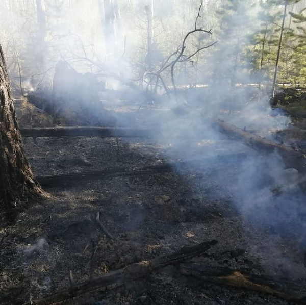 Жемконцы стоят на переднем крае в борьбе с огнем