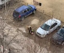 В Нерюнгри женщина грубо обращалась с ребенком?