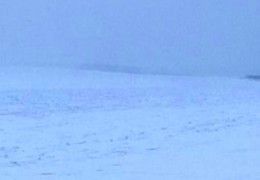 Вода в Лене снова приправлена нефтью?