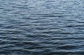 Дежурный прокурор: В Якутске в реке Лене обнаружено тело утонувшего мужчины