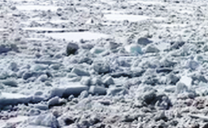 Дмитрий Лепчиков рассказал об оперативной обстановке по пропуску весеннего половодья