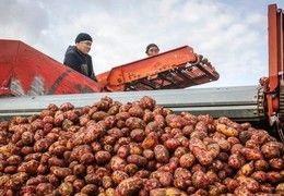 Якутские аграрии отмечают дефицит семян к посевной