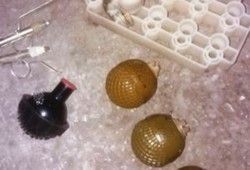 В Якутии стражи порядка изъяли семь взрывных устройств