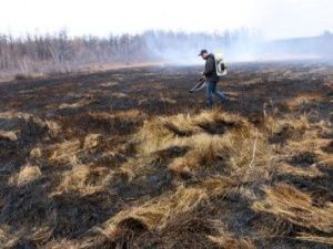 Новое противопожарное средство испытали в Якутии