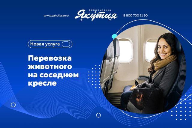 Перевозка животного на соседнем кресле