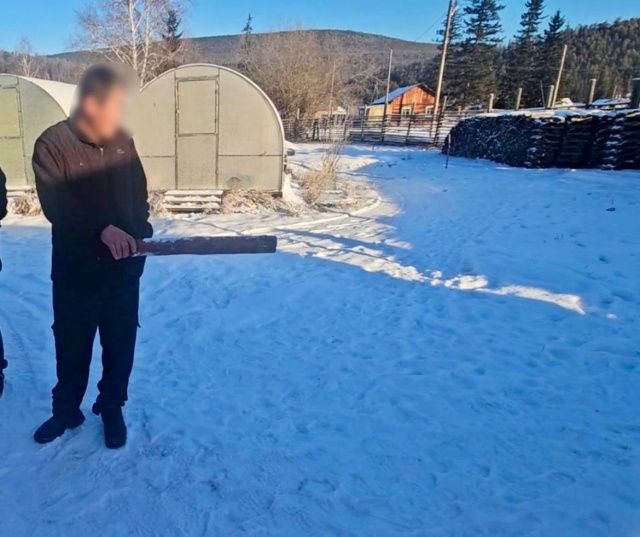 За избиение палкой до смерти суд приговорил к 7 годам…