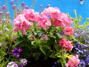 Награждение победителей конкурса "Зеленый кубок столицы 2025" прошло в Парке Победы