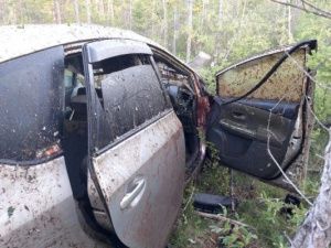 В Якутии автомобиль врезался в лошадь. Пострадали два человека