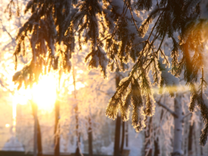 В Черском в разгар зимы температура днем составила плюс 3 градуса!