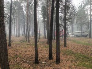 Лесной пожар возле Якутска локализовали. Причиной возгорания стал человеческий фактор