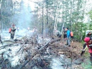 В Якутии за сутки локализованы восемь лесных пожаров
