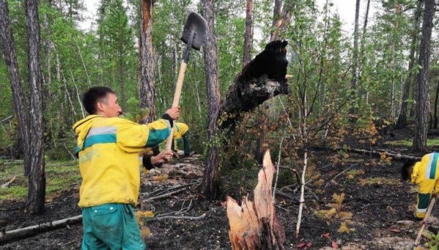 Минэкологии Якутии рассказало о ситуации с лесными пожарами на территории республики