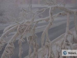 Якутские ученые запатентовали новый метод лечения холодовых травм