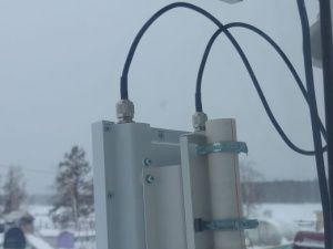 Телят-двойняшек из фермы в Кобяйском районе назвали Арктик и Телеком