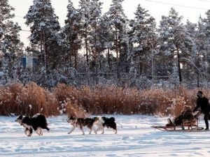 В колонии-поселении № 2 подвели итоги регионального этапа Всероссийского конкурса среди осужденных женщин «А ну-ка, девушки!»