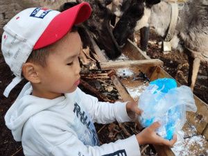 Битва с медведем, роды в чуме и другая цивилизация: история династии оленеводов Погодаевых