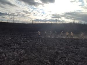 "12 человек оказались в окружении огня": Как спасали от лесного пожара село в Якутии