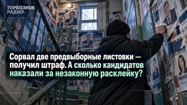 Сорвал две предвыборные листовки — получил штраф. А сколько кандидатов наказали за незаконную расклейку?