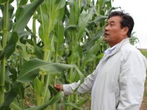 Клубника и арбузы на вечной мерзлоте. Как фермер сломал стереотипы о Якутии