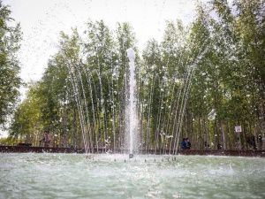 Городской парк Мирного готовится к масштабному благоустройству