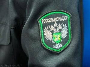 Управление Россельхознадзора информирует о внесении изменений в Постановление Правительства РФ «О лицензировании фармацевтической деятельности»