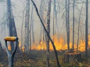 Якутия получит дополнительно 68 миллионов рублей на покупку техники для борьбы с лесными пожарами