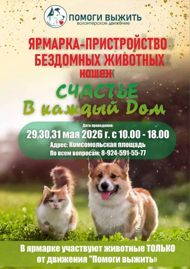 В Якутске пройдет ярмарка-пристройство бездомных животных «Счастье в каждый дом»