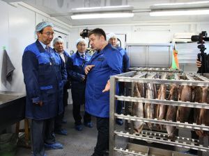 В арктическом посёлке Чокурдах открыли модульный цех по переработке рыбы