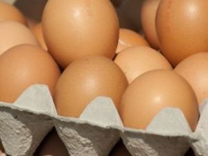 Употребление яиц временно ограничили в детских учреждениях Нерюнгринского района
