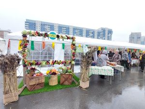 Более 80 сельхозпроизводителей Якутии представлены на ярмарке «Продовольствие-2024»