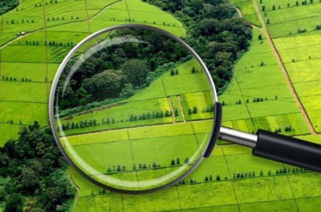 Онлайн-сервис «Земля для стройки» поможет выбрать участок