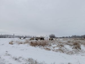 Пенсионер из Верхнеколымского района построил купольный дом на Крайнем Севере