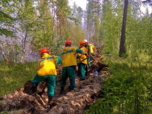В Якутии за сутки потушен еще один лесной пожар