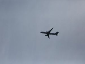 Три якутских борца не полетят на именитый турнир — и все из-него!