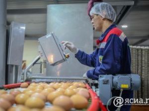 На 4 млн яиц больше, чем в 2021 году произвели на Якутской птицефабрике в ушедшем 2022 году