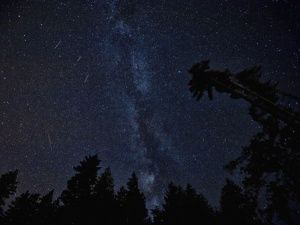 Гороскоп на 20 декабря 2023 года для всех знаков зодиака